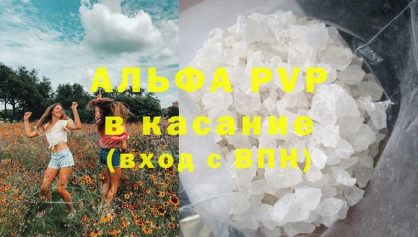 apvp Алзамай
