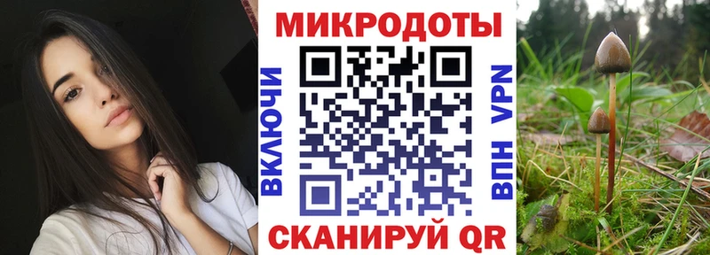 Галлюциногенные грибы Cubensis  где купить наркоту  МЕГА зеркало  Беслан 